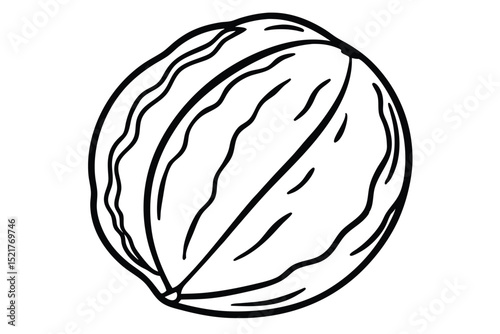 Simple Line Art Illustration of Whole Walnut Shell, Nut, Kernel, Food