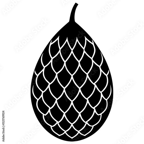vector illustration of an apple