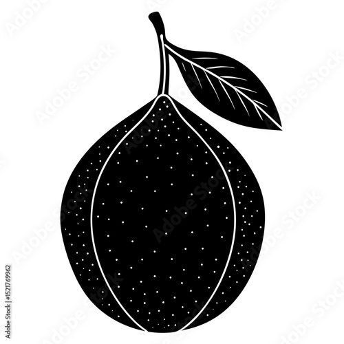 vector illustration of an apple