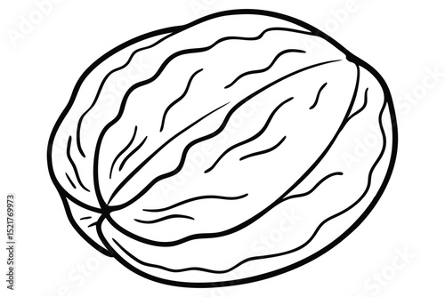 Simple Black and White Illustration of a Whole Walnut with Shell