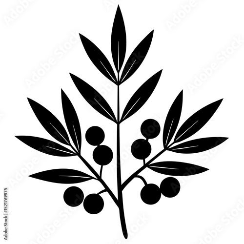 black olives vector illustration
