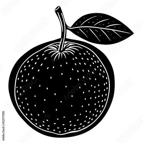 vector illustration of an apple