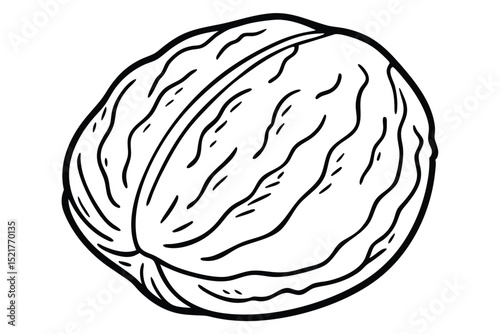 Black and white line drawing of a whole walnut in its shell