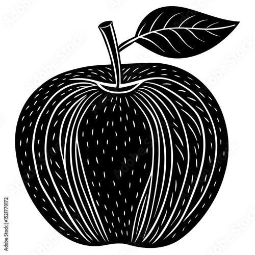 vector illustration of an apple