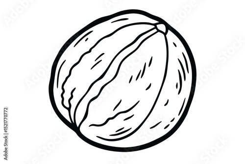 Black and White Line Art Illustration of a Cartoon Walnut with Shell