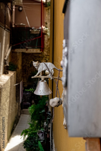 Cat Door Bell photo