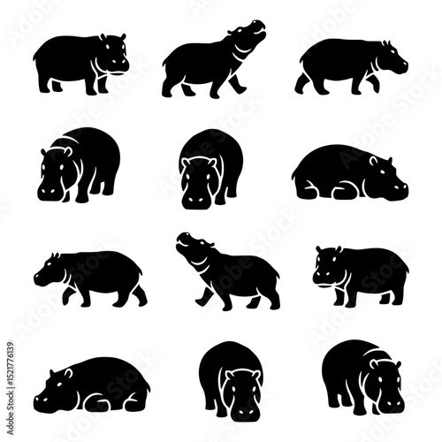Set of hippopotamus silhouettes in various poses, isolated against background