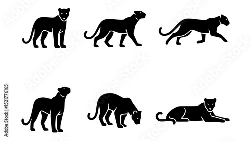 A collection of illustrations depicting a Panther in various poses. They showcase the beauty of a majestic panther in action