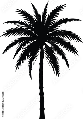 A Realistic Palm Tree Rendered In Fine Detail Upright 