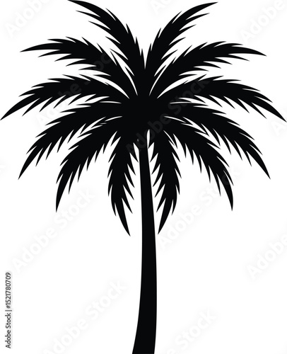 Elegant Palm Tree Silhouette With Fine Details And Grace