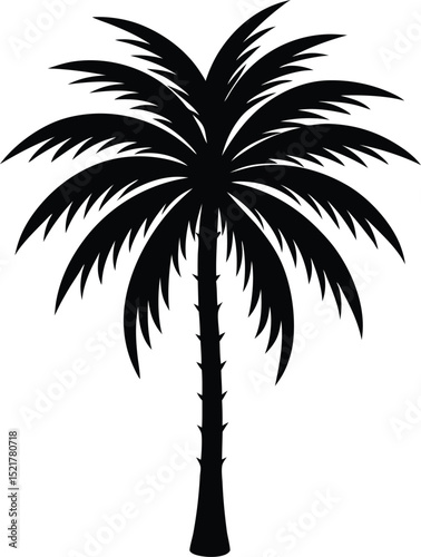 Graceful Palm Tree With Wide Fronds And A Thin Delicate Trunk