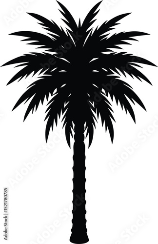 Palm Tree With Textured Trunk And Natural Green Crown