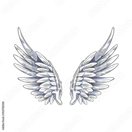 Monochrome hand sketch of angel wings, symmetrical vector illustration.