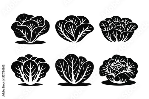Black and White Vector Silhouette Set of Various Salad Heads on a White Background.