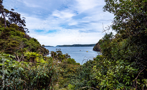 Oban town new zealand stewart island small community nature