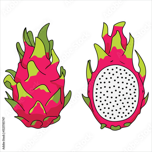 Dragon fruit vector illustration showing whole and sliced views. Tropical summer fruit icon in flat cartoon style, perfect for healthy lifestyle and exotic food themes.