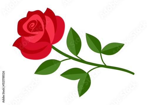 red rose isolated on white