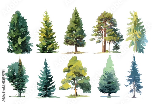 Set of trees, isolated watercolor illustration