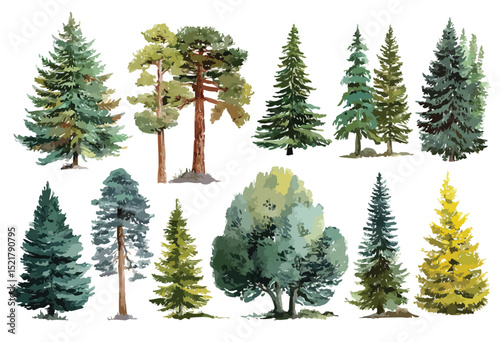 Set of trees, isolated watercolor illustration