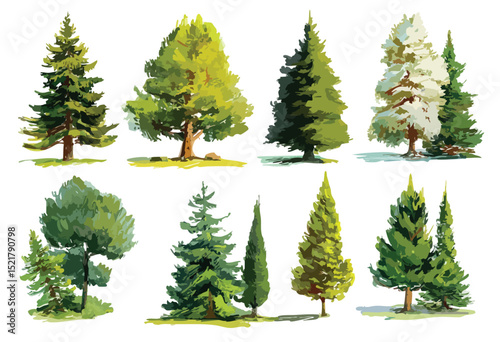 Set of trees, isolated watercolor illustration