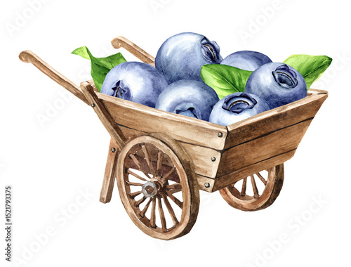Wooden garden wheelbarrow cart with wild blueberries. Watercolor hand drawn illustration, isolated on white background