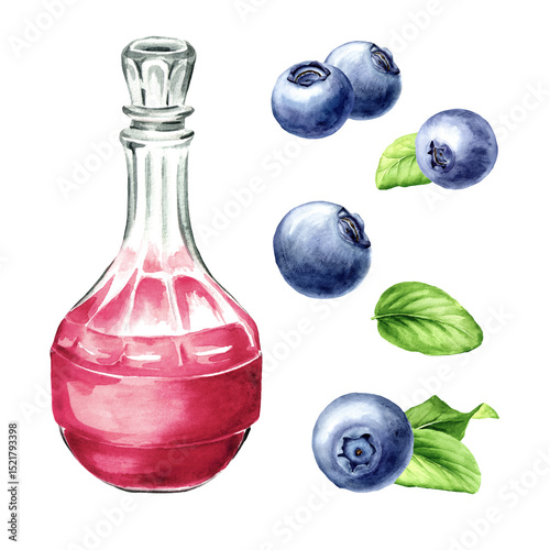 Blueberry homemade liqueur, sweet tincture, and red blueberries set. Hand drawn watercolor illustration isolated on white background