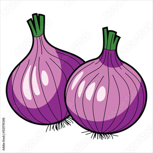 Red onion vector illustration isolated on white background. Ideal for cooking recipes, food blogs, and culinary design projects.