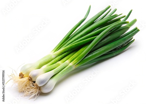 spring onion isolated on white background