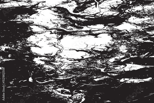 Abstract Water Reflection - A Striking Black and White Design
