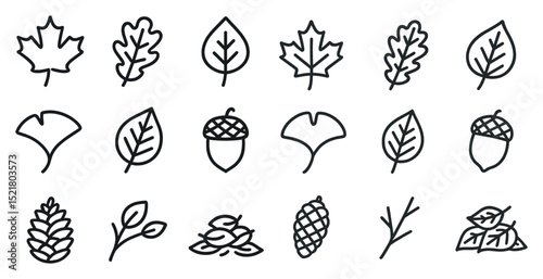 Hand-drawn autumn leaf and foliage icons for seasonal design projects