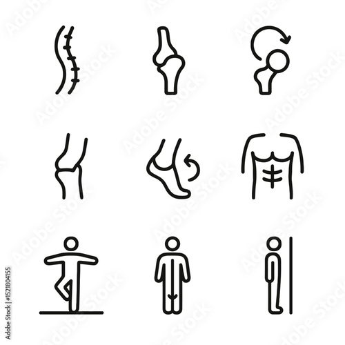 Body Movement Anatomy Icons. Outline icon set of body movement anatomy: spine curve, hip joint, shoulder rotation, knee bend,