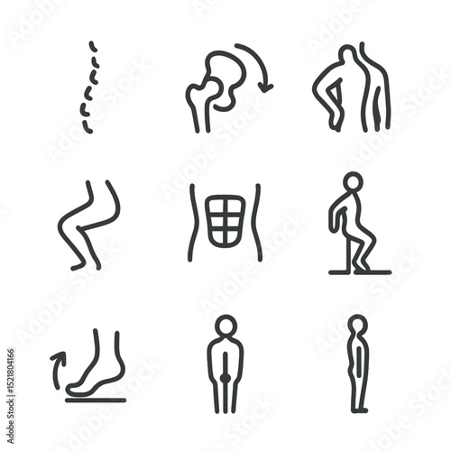 Body Movement Anatomy Icons. Outline icon set of body movement anatomy: spine curve, hip joint, shoulder rotation, knee bend,