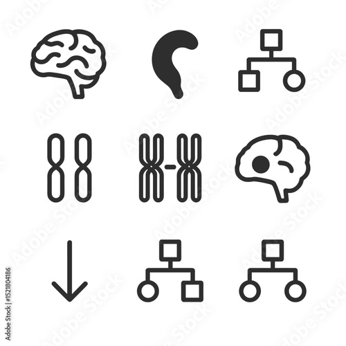 Brain Heredity Icons. Outline icon set of heredity in brain structure: cerebral cortex outline, hippocampus silhouette, genetic
