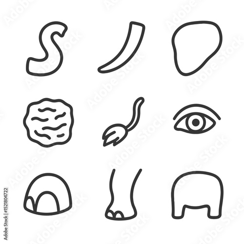 Elephant Icon Set. Outline icon set of elephant body parts: trunk curl, tusk curve, ear flap, wrinkled skin patch, tail tuft,
