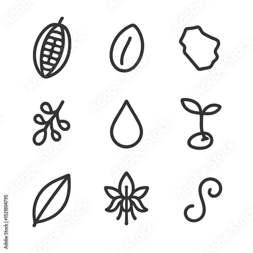 Cocoa Bean Icon Set. Outline icon set of Cocoa bean anatomy: cocoa pod, bean nib, husk fragment, placenta, pulp droplet, seedling