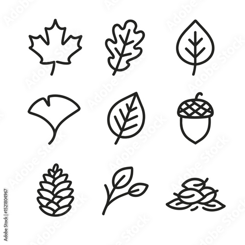 Falling Leaves Icon Set. Outline icon set of falling autumn leaves: maple leaf, oak leaf, birch leaf, ginkgo leaf, elm leaf, acorn