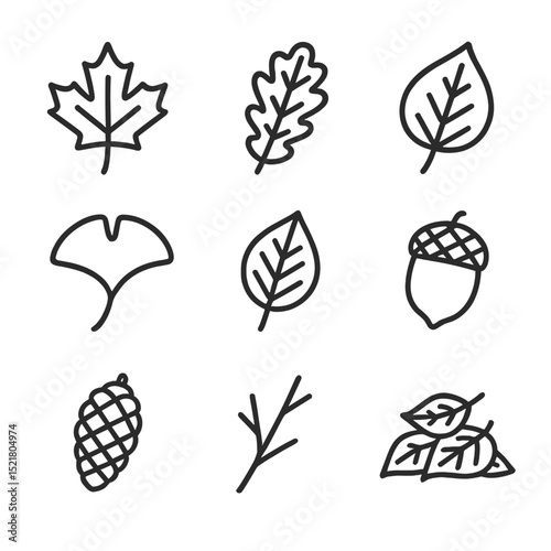 Falling Leaves Icon Set. Outline icon set of falling autumn leaves: maple leaf, oak leaf, birch leaf, ginkgo leaf, elm leaf, acorn