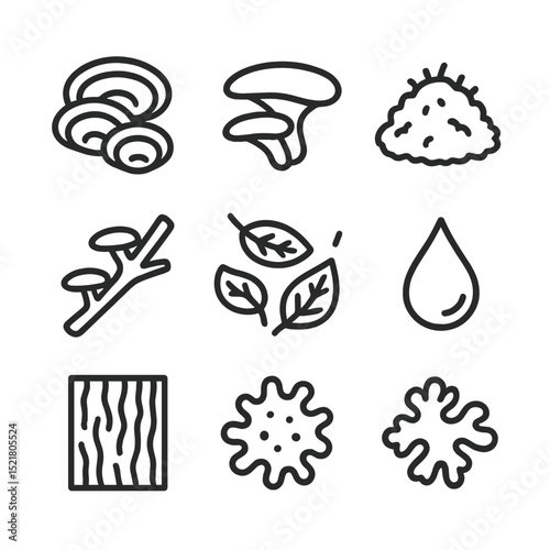 Glowing Rainforest Fungi Icons. Outline icon set of tropical rainforest glowing fungi: bracket fungus, shelf mushroom, moss patch,