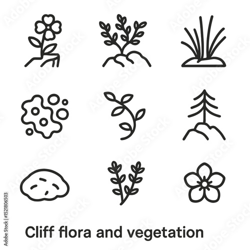 Cliffside Flora Icons. Outline icon set of cliff flora and vegetation: cliffside flower, hardy shrub, alpine grass tuft, lichen