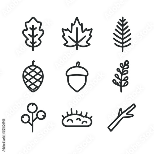 Autumn Forest Flora Icons. Outline icon set of autumn forest flora: oak leaf, maple leaf, fern, pine cone, acorn, bracken frond,