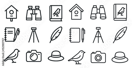 Birdwatching and writing elements for creative design projects