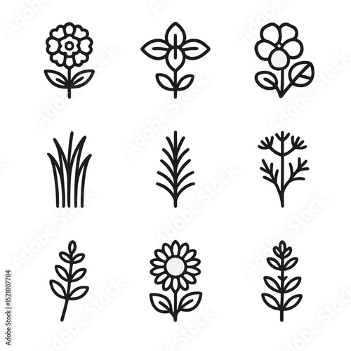 Companion Plant Outline Icons. Outline icon set of companion planting: marigold, basil, nasturtium, chives, rosemary, dill, thyme,