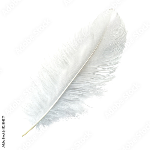 Elegant white feather resting on a flat surface captures tranquility and natural beauty in a minimalistic style