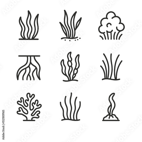 Reef Vegetation Icons. Outline icon set of reef vegetation: seaweed, seagrass, algae bloom, mangrove root, kelp, marine grass,