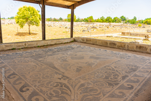 Photography Ancient mosaics in Pella, archaeological site in Macedonia,  birthplace of Alexa