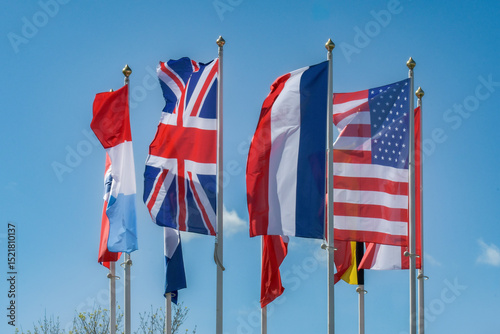 Flags from different west countries waving proudly against a clear blue sky during a sunny day in a public park