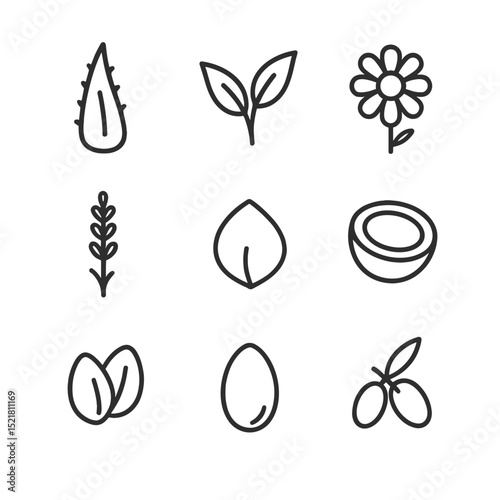 Plant-Based Icon Set. Outline icon set of plant-based ingredient library: aloe vera leaf, green tea leaf, chamomile flower,