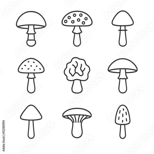 Poisonous Mushroom Icons. Outline icon set of poisonous mushrooms: death cap, fly agaric, destroying angel, panther cap, false