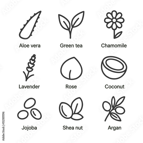 Plant-Based Icon Set. Outline icon set of plant-based ingredient library: aloe vera leaf, green tea leaf, chamomile flower,