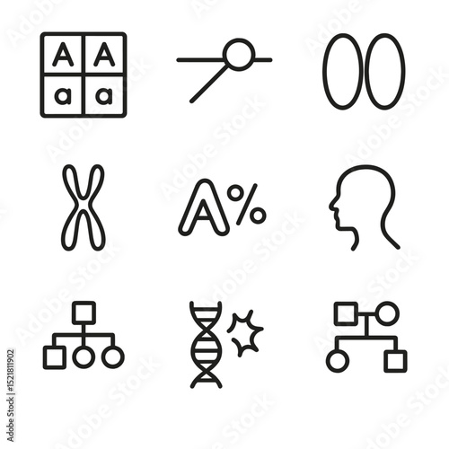 Genetics Icon Set. Outline icon set of probability in genetics and inheritance: Punnett square, gene locus, allele pair,
